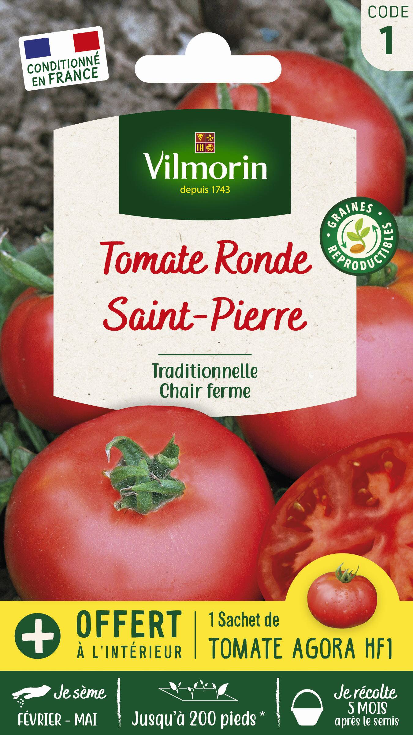 Vilmorin - Tomate Saint Pierre + échantillon tomate agora série 1 sachet graines 1,5 g - Vilmorin - Image 2
