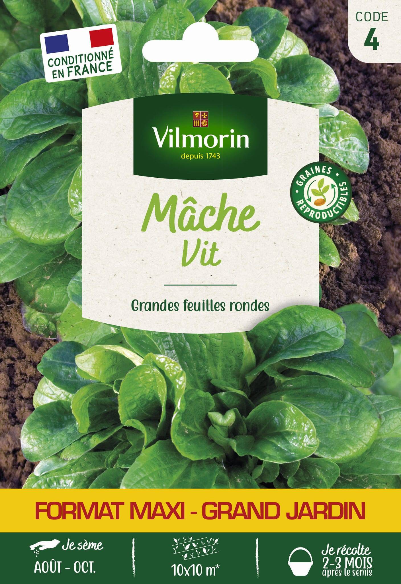 Vilmorin - Mâche vit grand jardin série 4 sachet graines 10 g - Vilmorin - Image 2