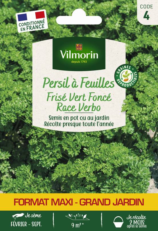 Vilmorin - Persil à feuilles frisé vert foncé race verbo grand jardin série 4 sachet graines 15 g - Vilmorin - Image 1