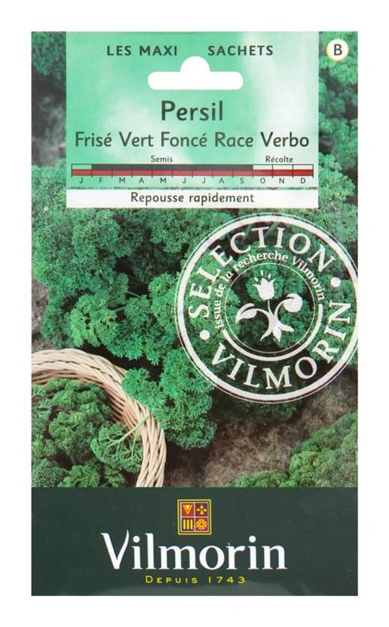 Vilmorin - Persil à feuilles frisé vert foncé race verbo grand jardin série 4 sachet graines 15 g - Vilmorin - Image 2