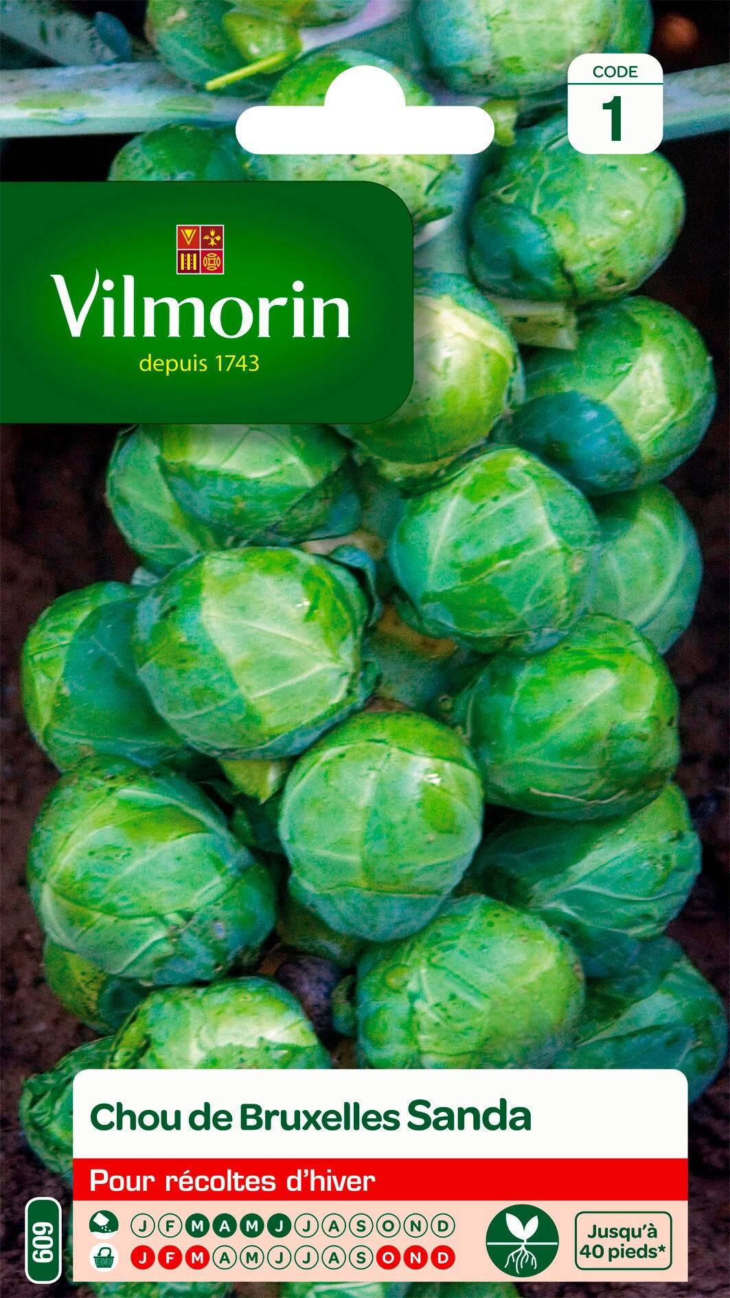 Vilmorin - Choux de Bruxelles Roodnerf série 1 sachet graines 2 g - Vilmorin - Image 2