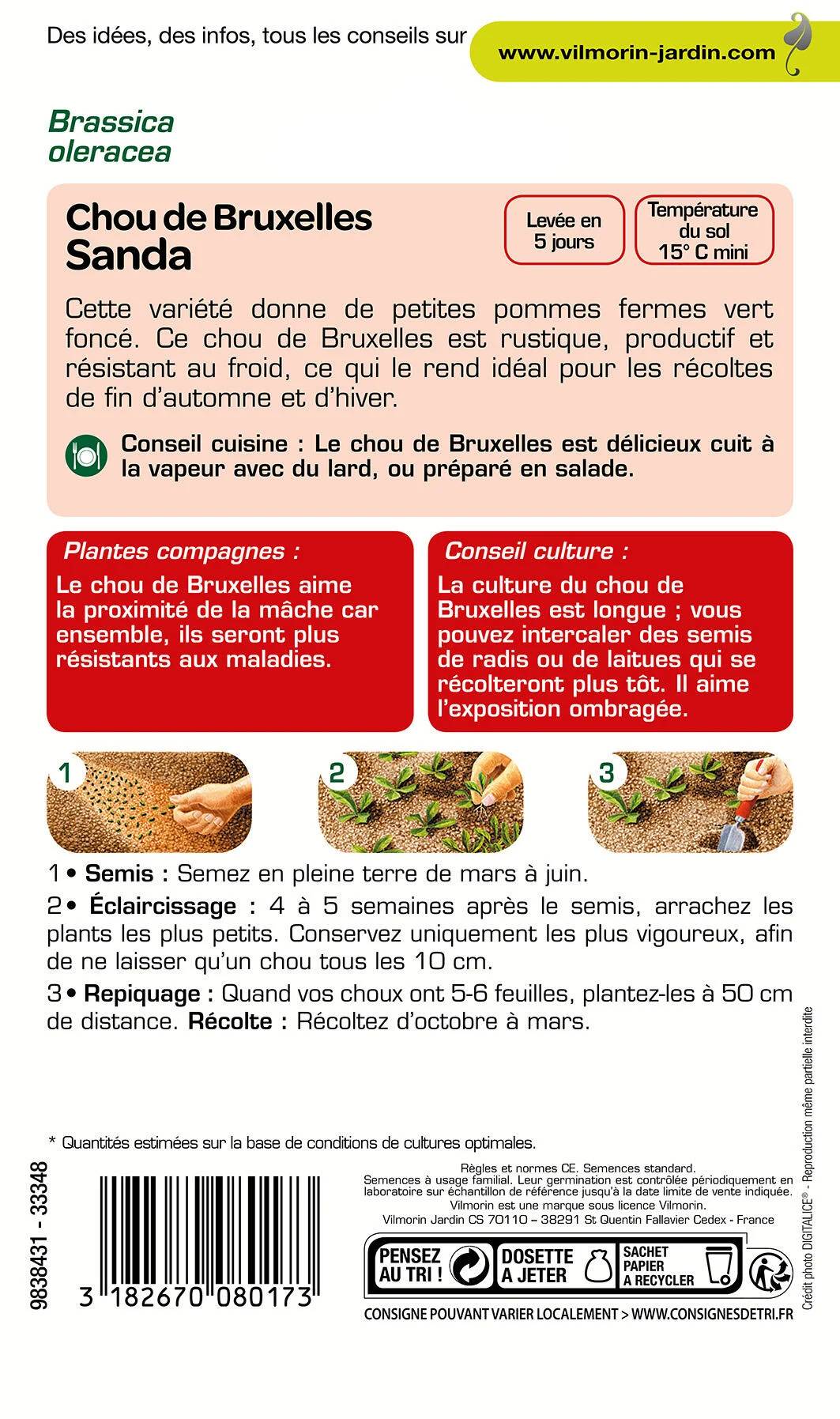 Vilmorin - Choux de Bruxelles Roodnerf série 1 sachet graines 2 g - Vilmorin - Image 1