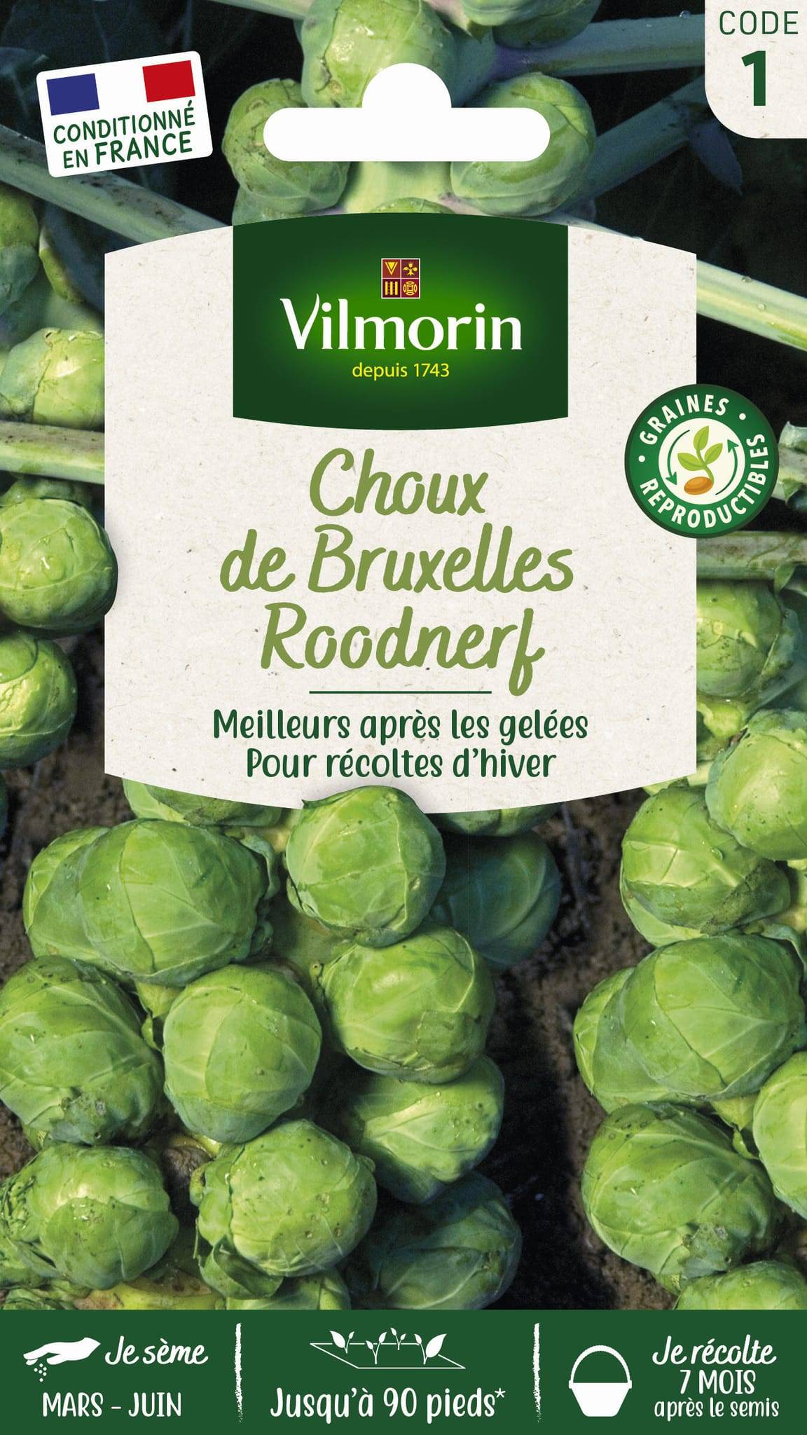Vilmorin - Choux de Bruxelles Roodnerf série 1 sachet graines 2 g - Vilmorin - Image 3