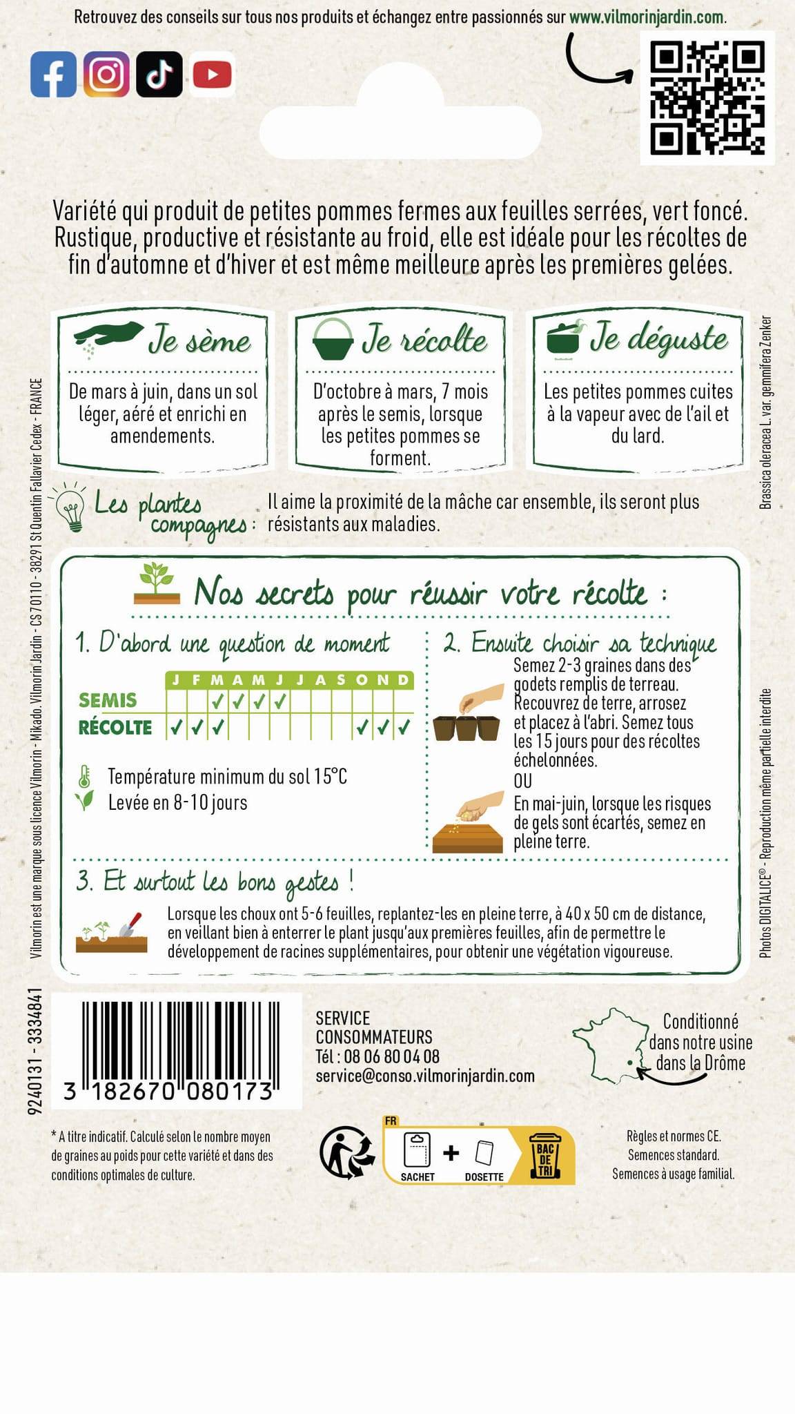Vilmorin - Choux de Bruxelles Roodnerf série 1 sachet graines 2 g - Vilmorin - Image 4