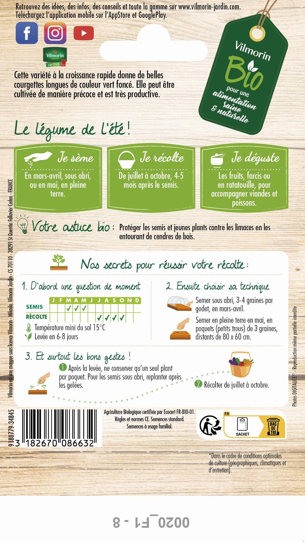 Vilmorin - Courgette verte noire maraichère Bio série 2 sachet graines 4 g - Vilmorin - Image 2