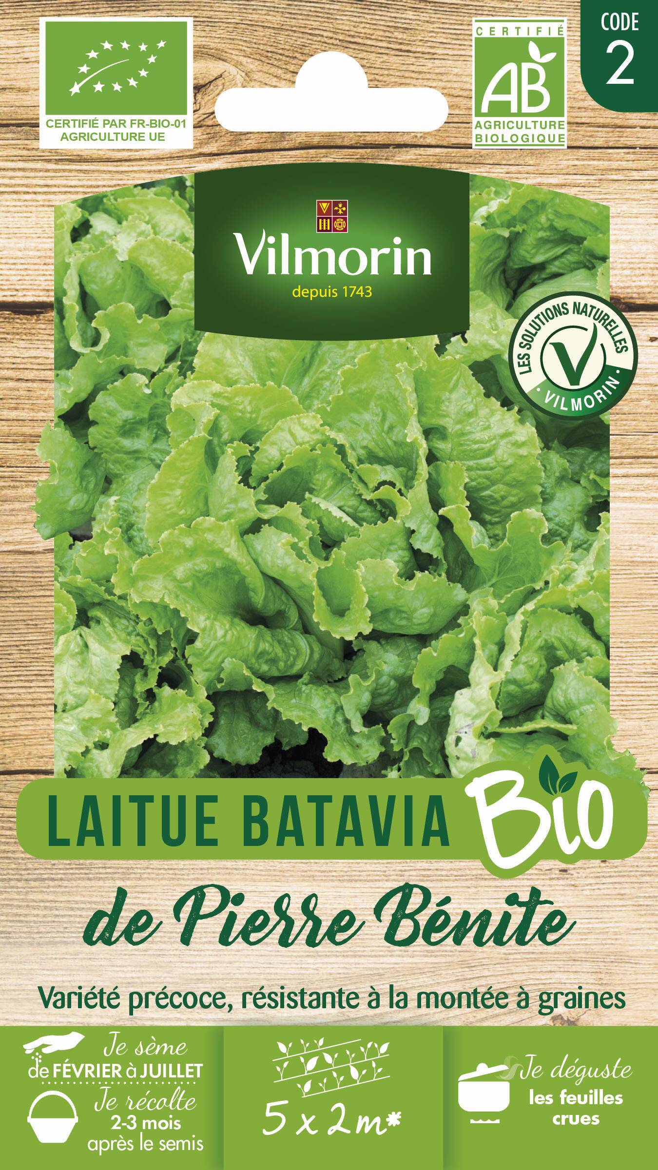 Vilmorin - Laitue batavia de Pierre Bénite Bio série 2 sachet graines 3 g - Vilmorin