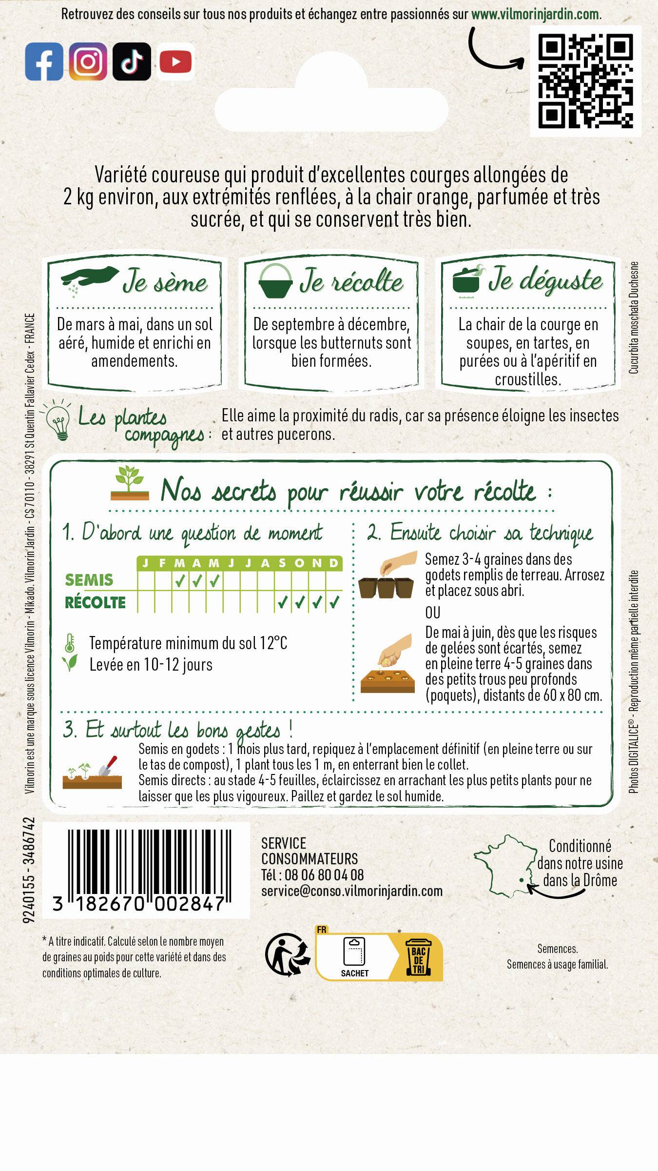 Vilmorin - Courge Waltham butternut série 2 sachet graines 3 g - Vilmorin - Image 4