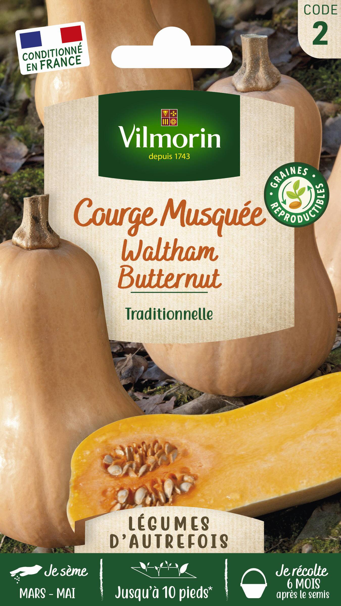 Vilmorin - Courge Waltham butternut série 2 sachet graines 3 g - Vilmorin - Image 1