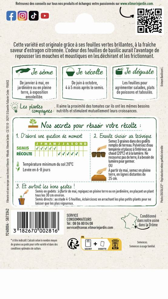 Vilmorin - Basilic citron série 2 sachet graines 1 g - Vilmorin - Image 3
