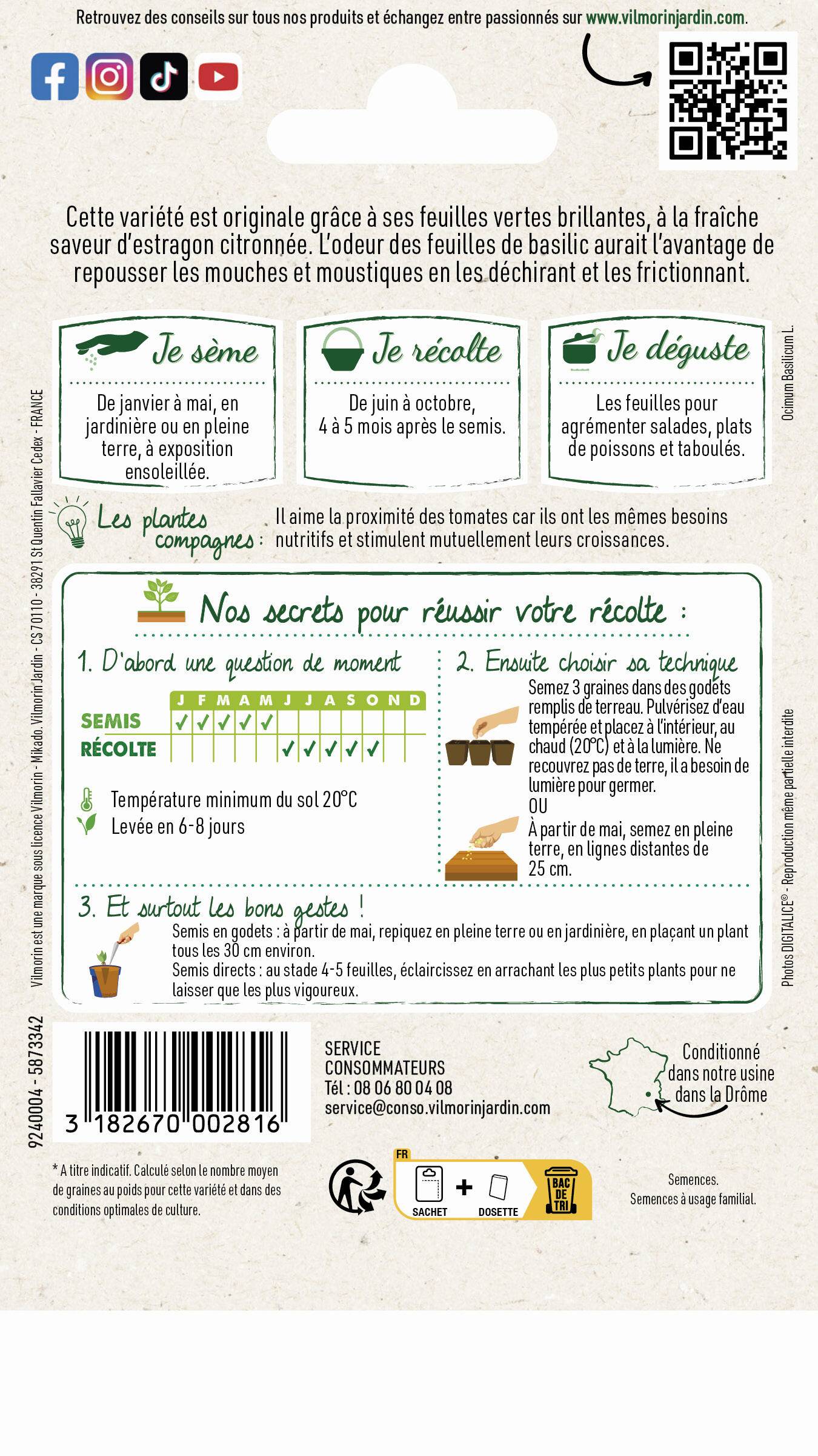 Vilmorin - Basilic citron série 2 sachet graines 1 g - Vilmorin - Image 3