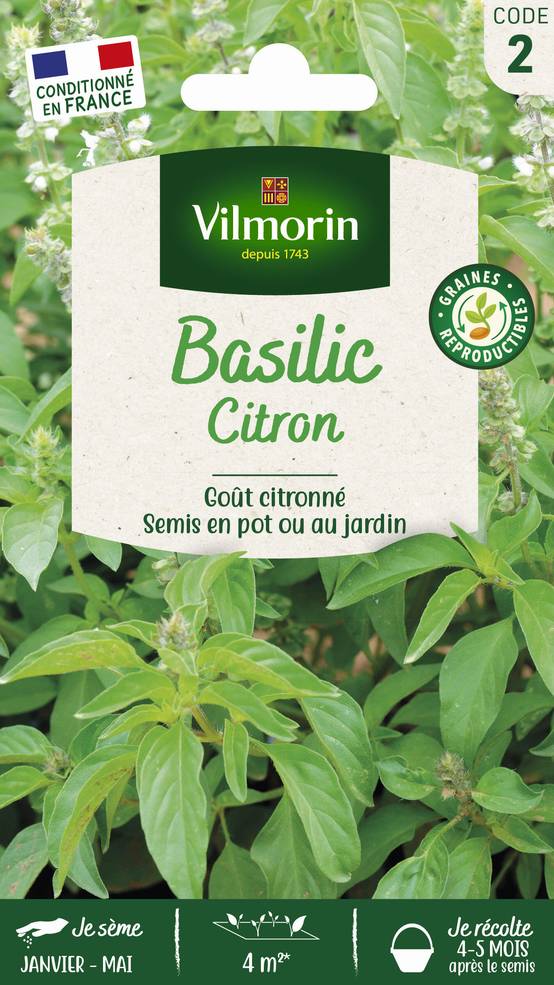 Vilmorin - Basilic citron série 2 sachet graines 1 g - Vilmorin - Image 1