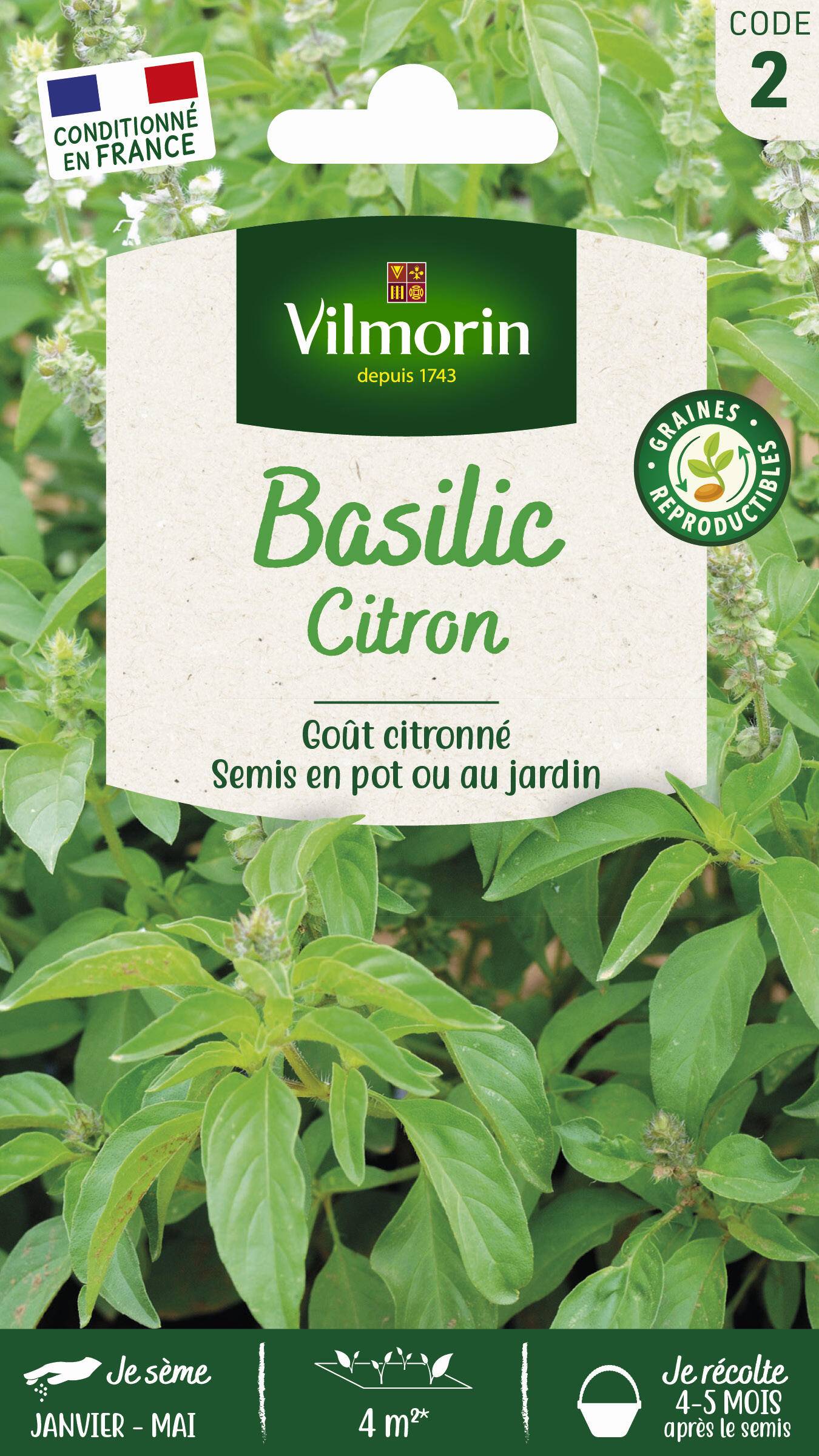 Vilmorin - Basilic citron série 2 sachet graines 1 g - Vilmorin - Image 1