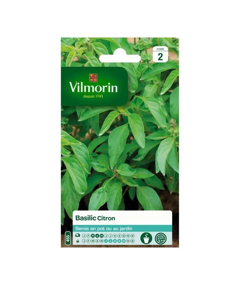 Vilmorin - Basilic citron série 2 sachet graines 1 g - Vilmorin - Image 2