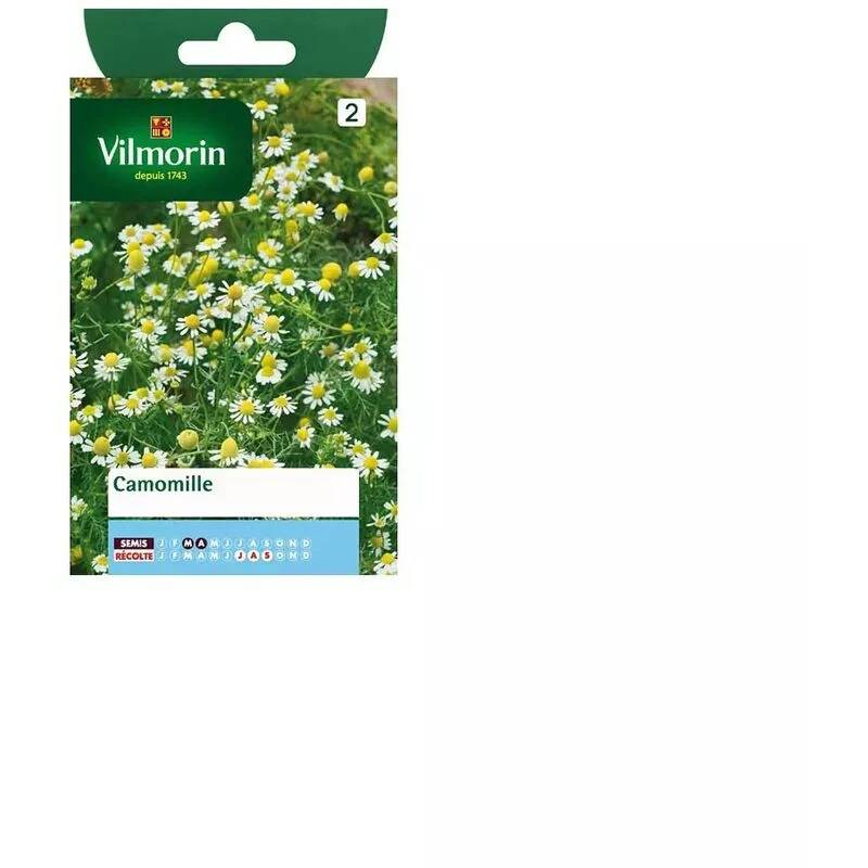 Vilmorin - Camomille série 2 sachet graines 0,5 g - Vilmorin - Image 2