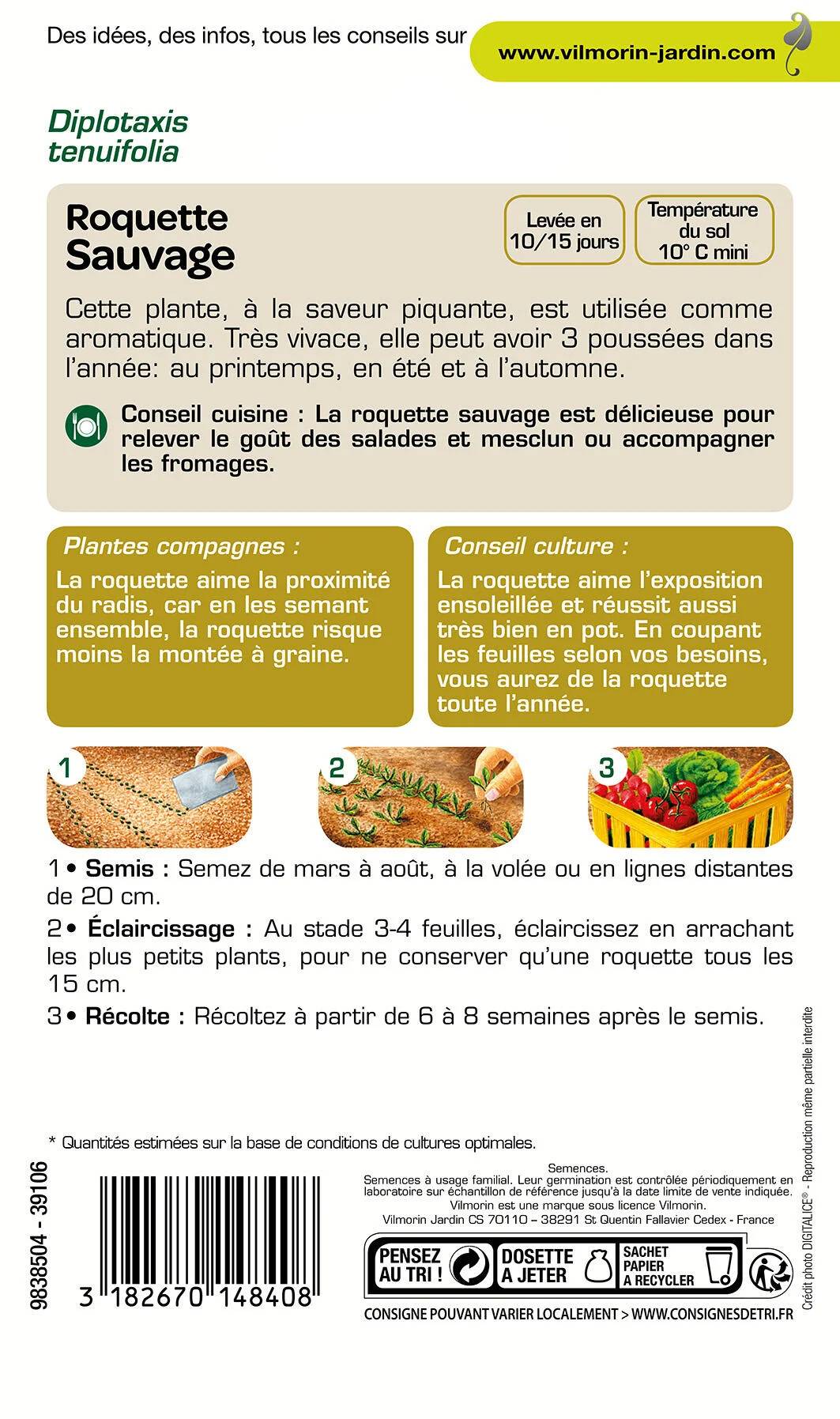 Vilmorin - Roquette sauvage série 2 sachet graines 2,5 g - Vilmorin - Image 4