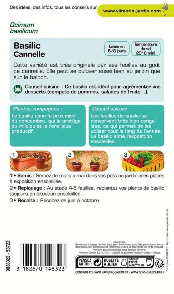 Vilmorin - Basilic cannelle série 2 sachet graines 1 g - Vilmorin - Image 3
