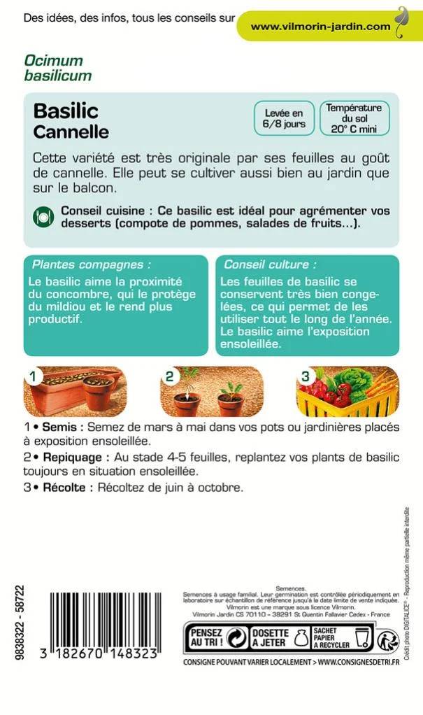 Vilmorin - Basilic cannelle série 2 sachet graines 1 g - Vilmorin - Image 3