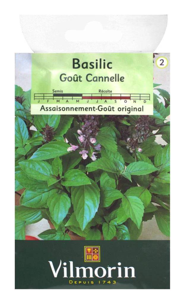 Vilmorin - Basilic cannelle série 2 sachet graines 1 g - Vilmorin - Image 4