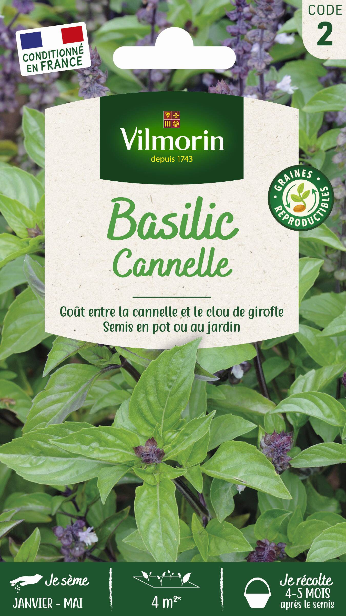 Vilmorin - Basilic cannelle série 2 sachet graines 1 g - Vilmorin