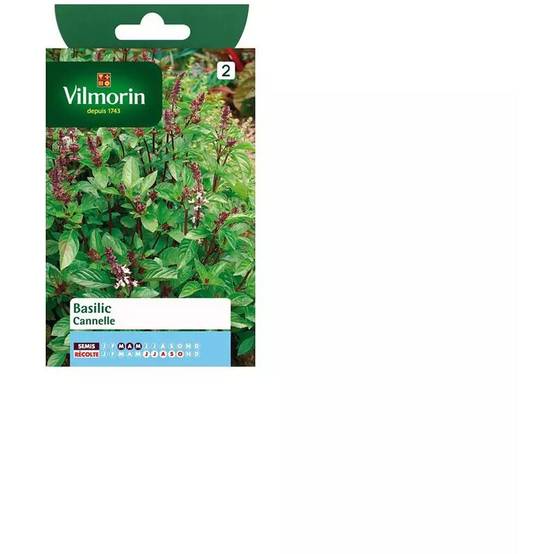Vilmorin - Basilic cannelle série 2 sachet graines 1 g - Vilmorin - Image 2