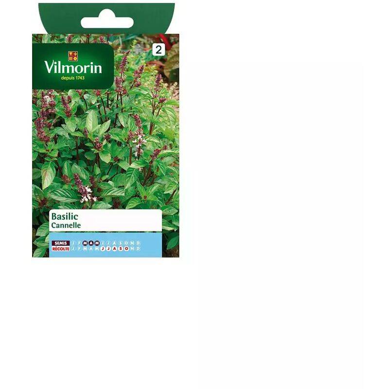 Vilmorin - Basilic cannelle série 2 sachet graines 1 g - Vilmorin - Image 2