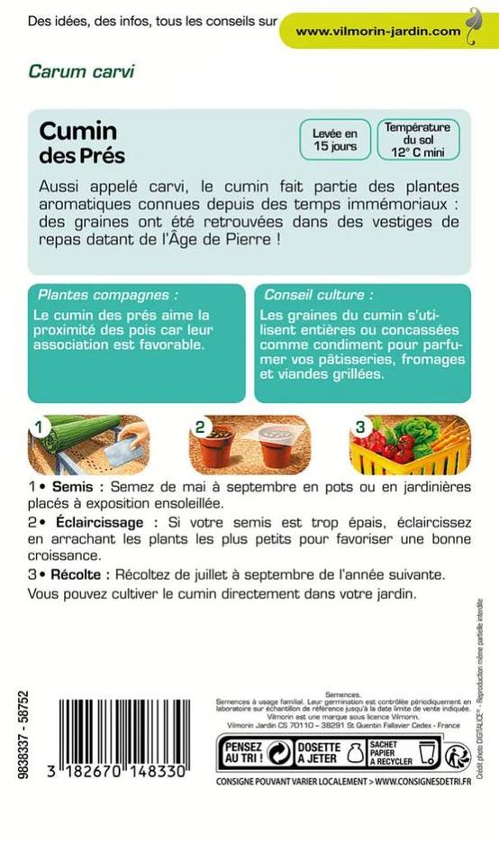 Vilmorin - Cumin des près ou carvi série 2 sachet graines 1 g - Vilmorin - Image 5