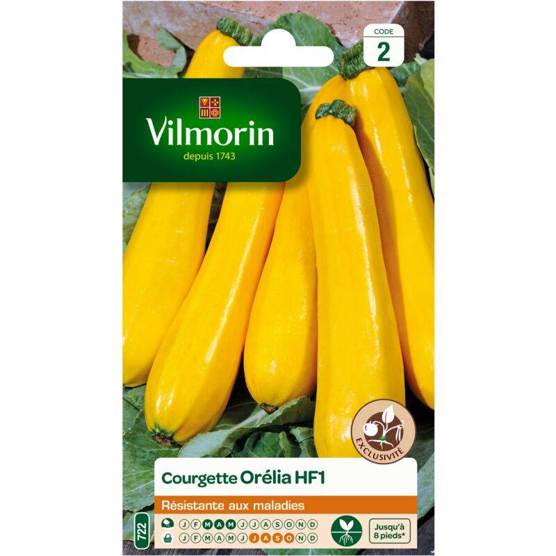 Vilmorin - Courgette orelia hf1 peau jaune série 2 sachet graines 2 g - Vilmorin - Image 2