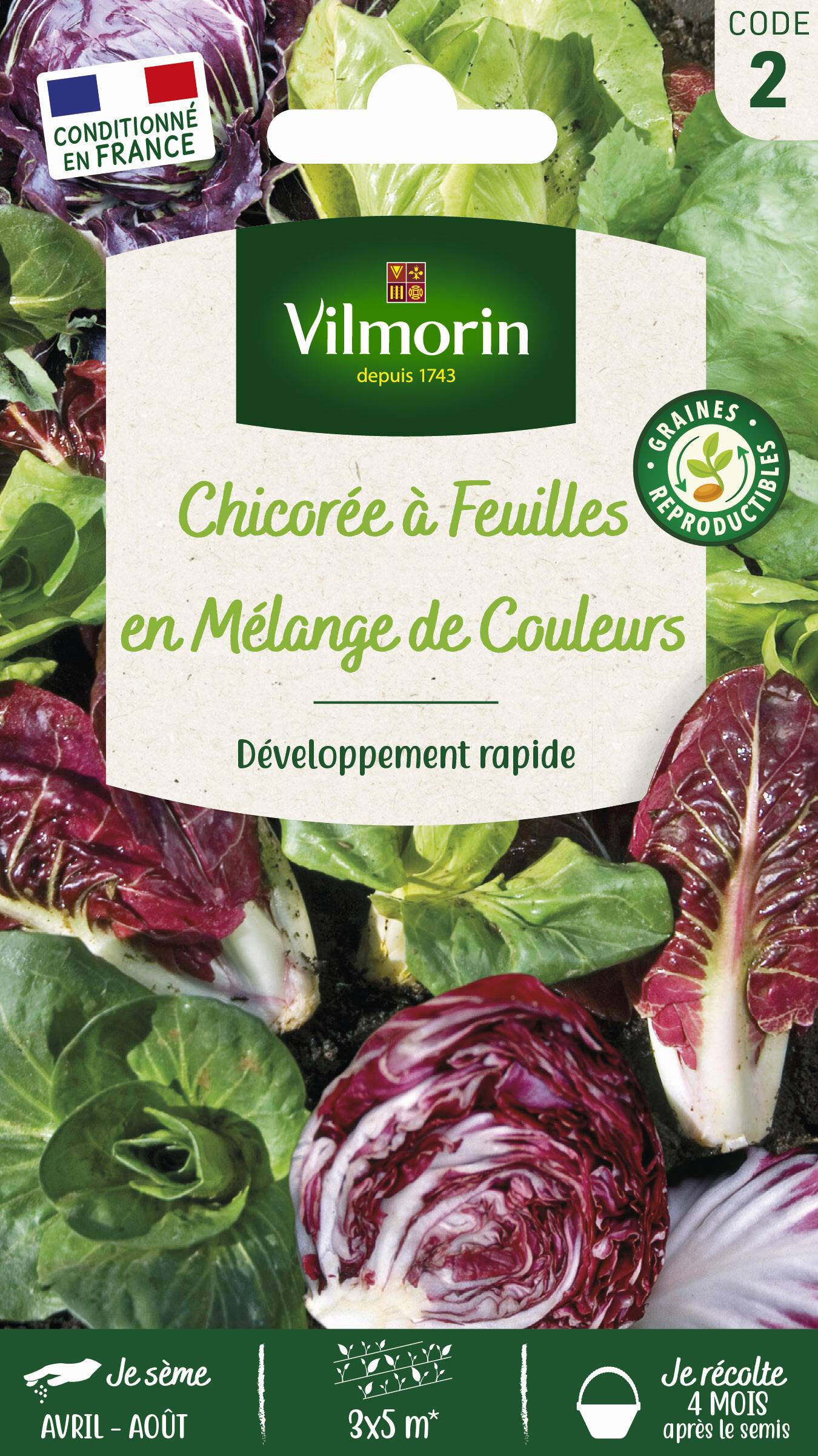 Vilmorin - Chicorée à larges feuilles en mélange série 2 sachet graines 4 g - Vilmorin - Image 2