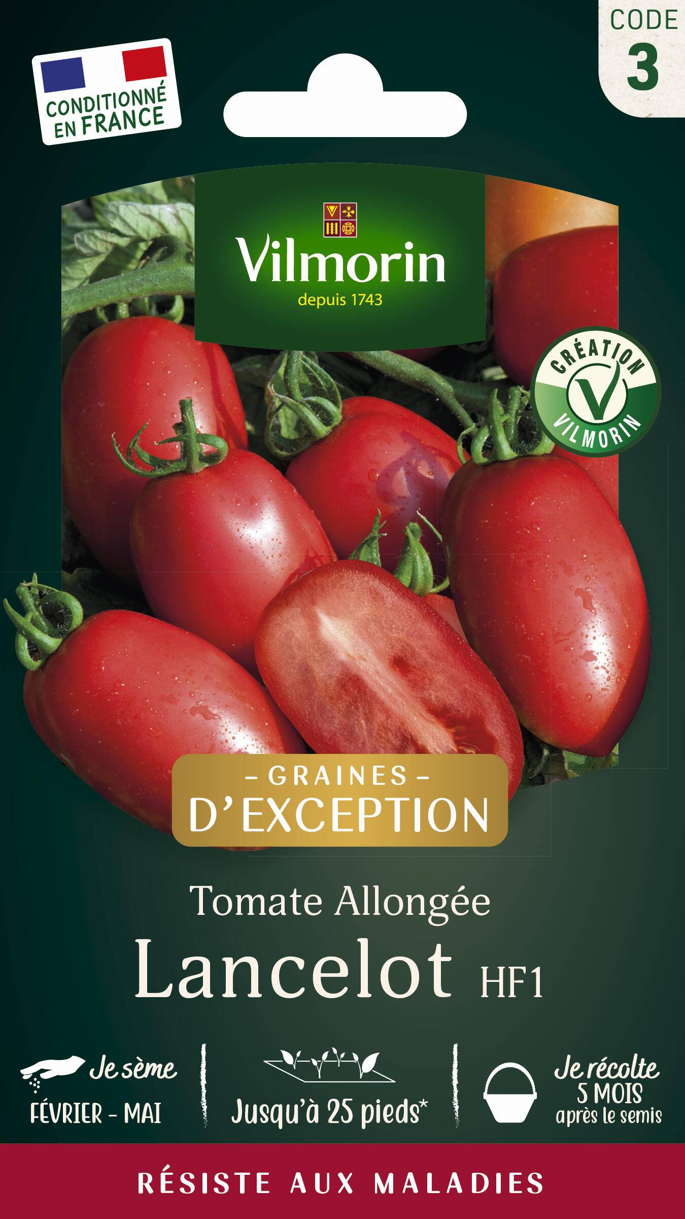 Vilmorin - Tomate Lancelot HF1  serie 3 sachet graines 0,1 g - Vilmorin - Image 1
