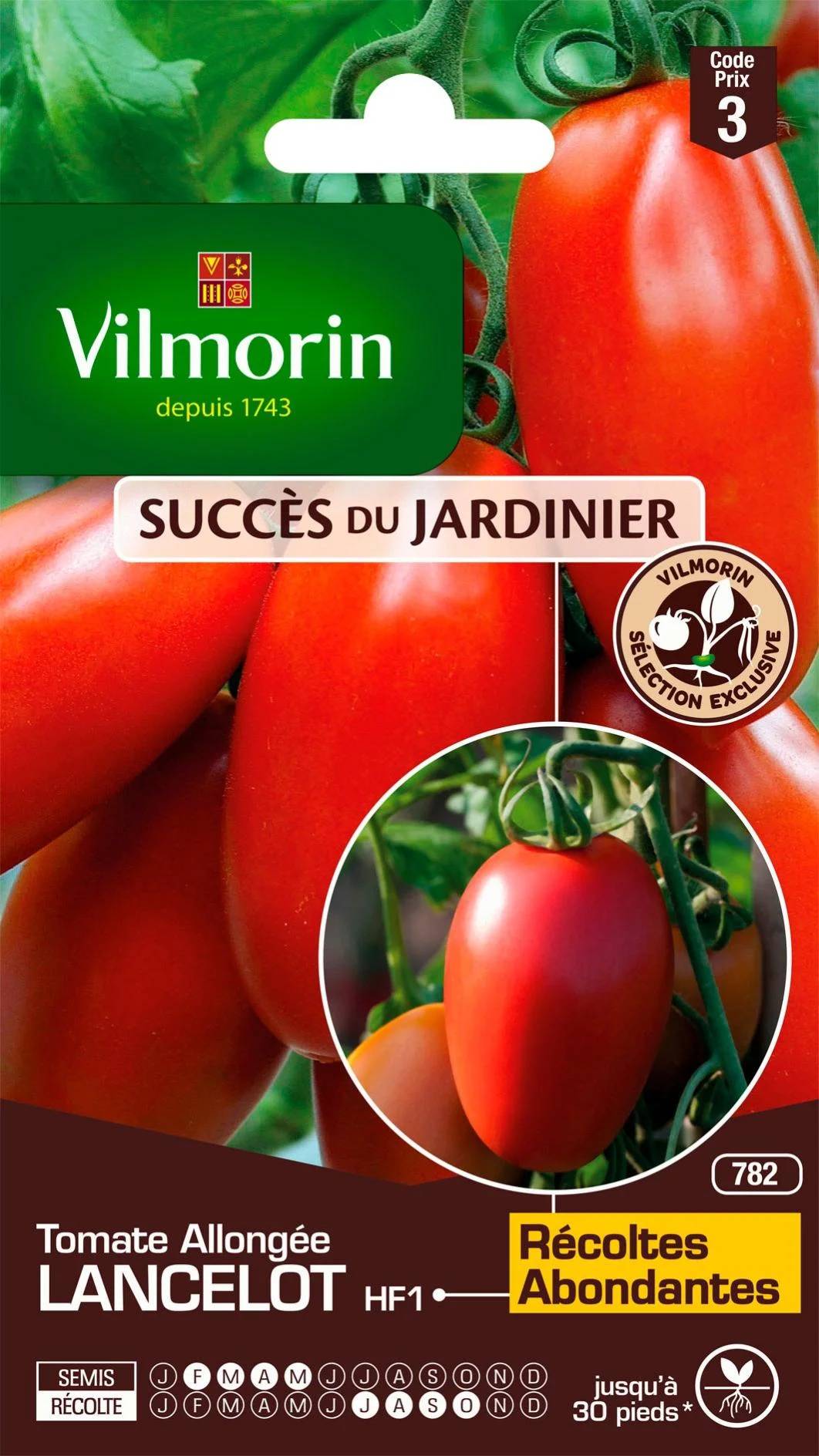 Vilmorin - Tomate Lancelot HF1  serie 3 sachet graines 0,1 g - Vilmorin - Image 2