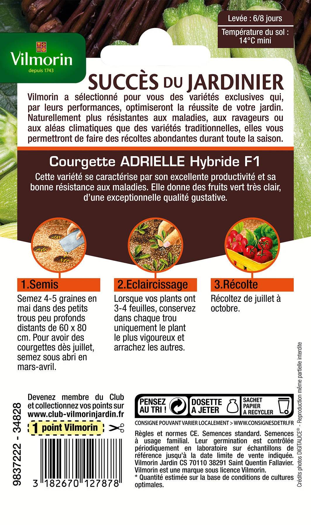 Vilmorin - Courgette Adrielle HF1 serie 3 sachet graines 3 g - Vilmorin - Image 3