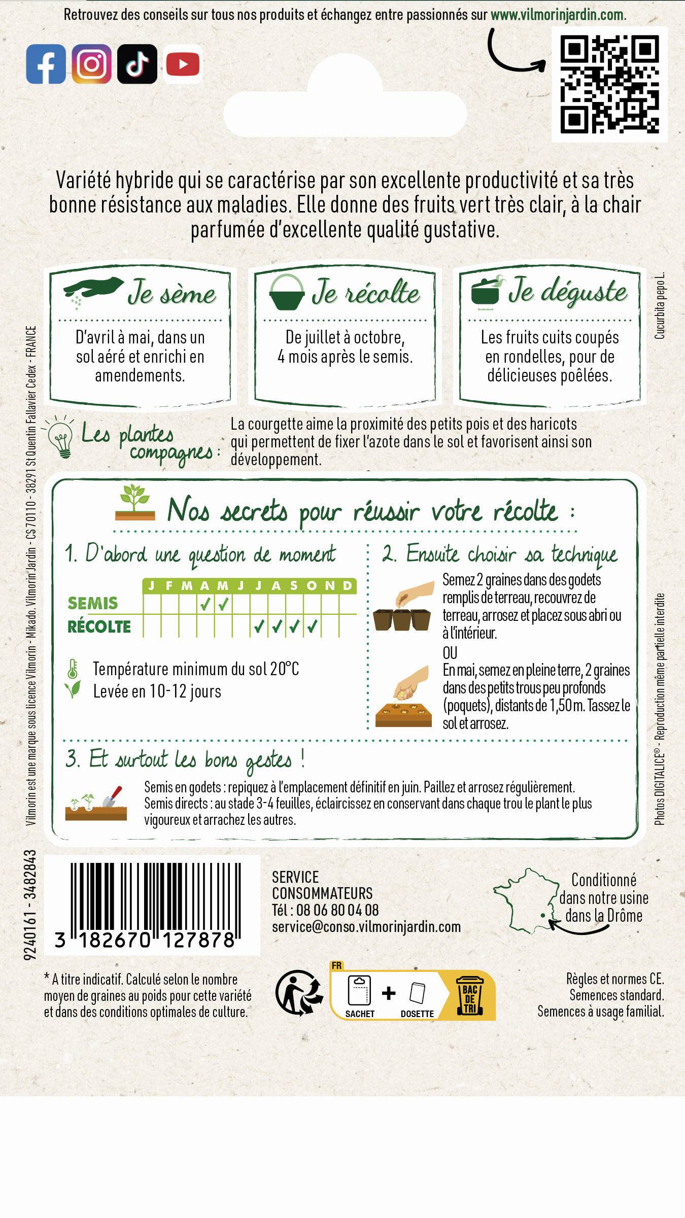 Vilmorin - Courgette Adrielle HF1 serie 3 sachet graines 3 g - Vilmorin - Image 4