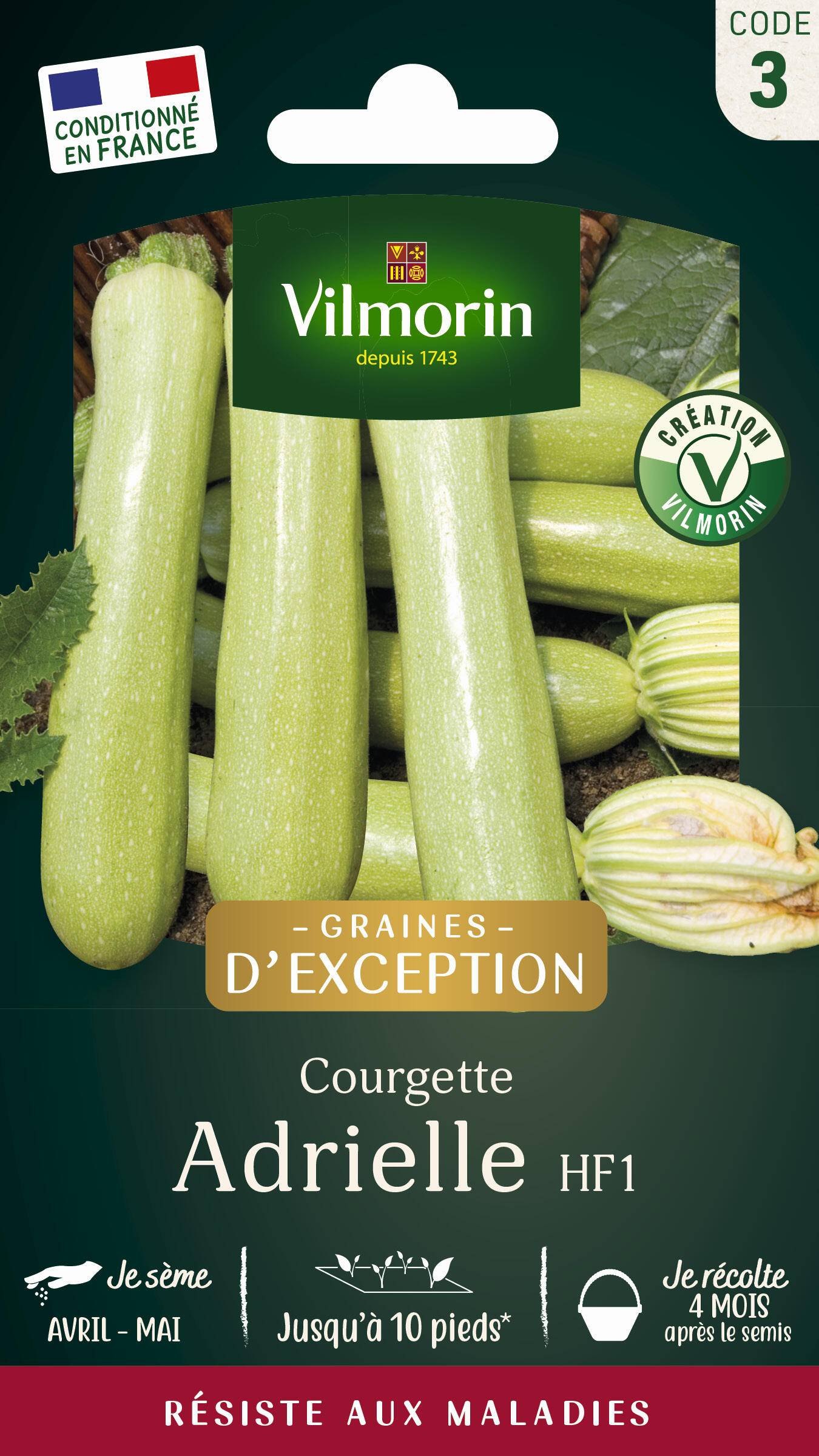 Vilmorin - Courgette Adrielle HF1 serie 3 sachet graines 3 g - Vilmorin - Image 2