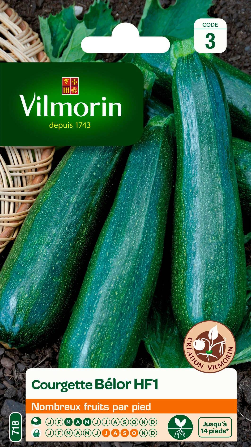 Vilmorin - Courgette belor hf1 obtention série 3 sachet graines 3 g - Vilmorin - Image 2