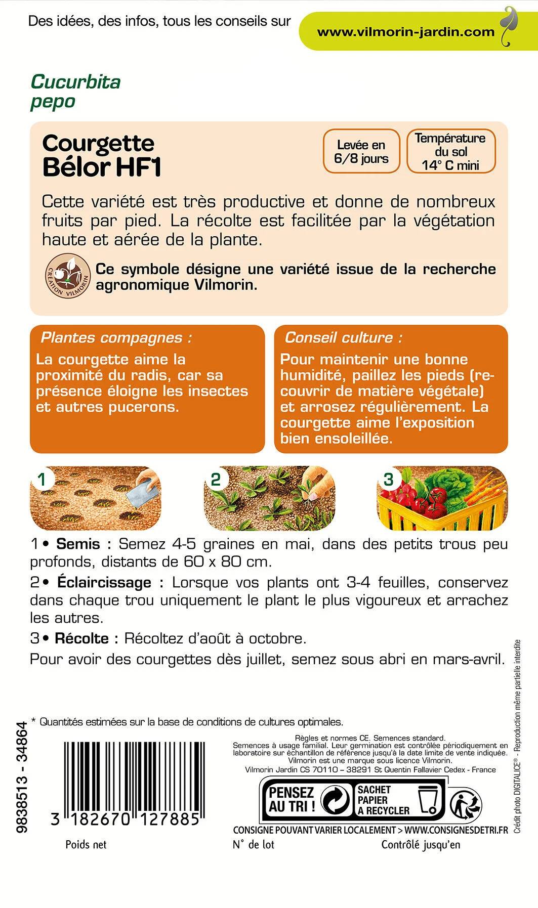 Vilmorin - Courgette belor hf1 obtention série 3 sachet graines 3 g - Vilmorin - Image 1