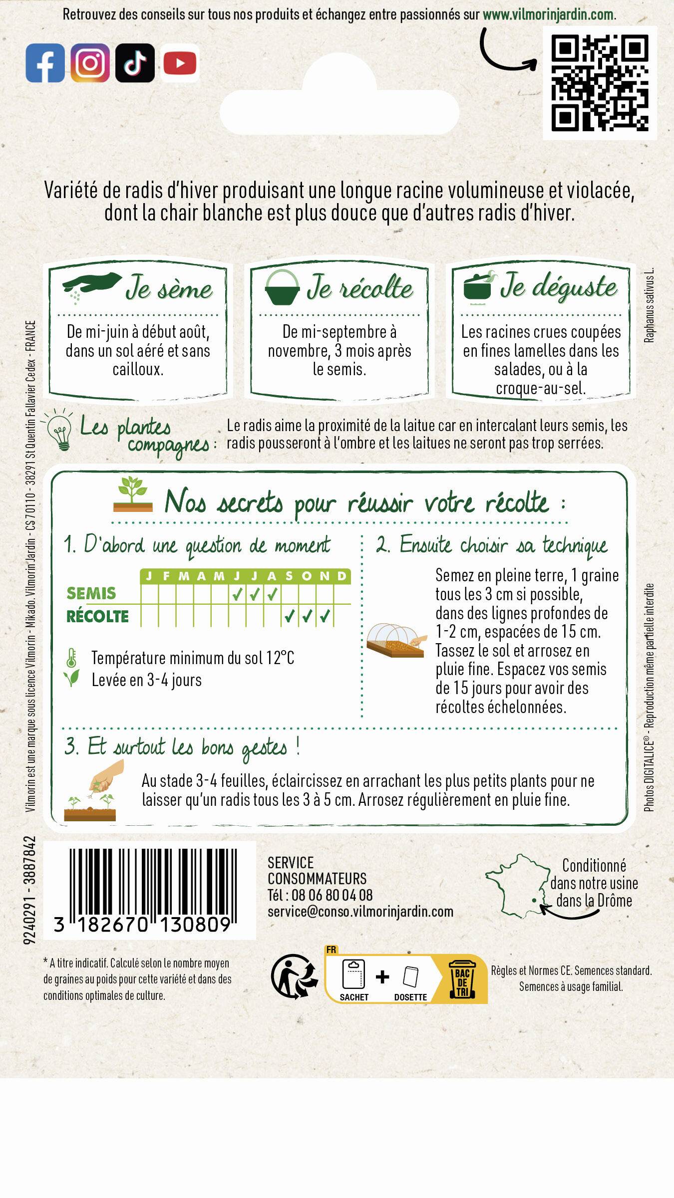 Vilmorin - Radis violet de Gournay série 2 sachet graines 10 g - Vilmorin - Image 2