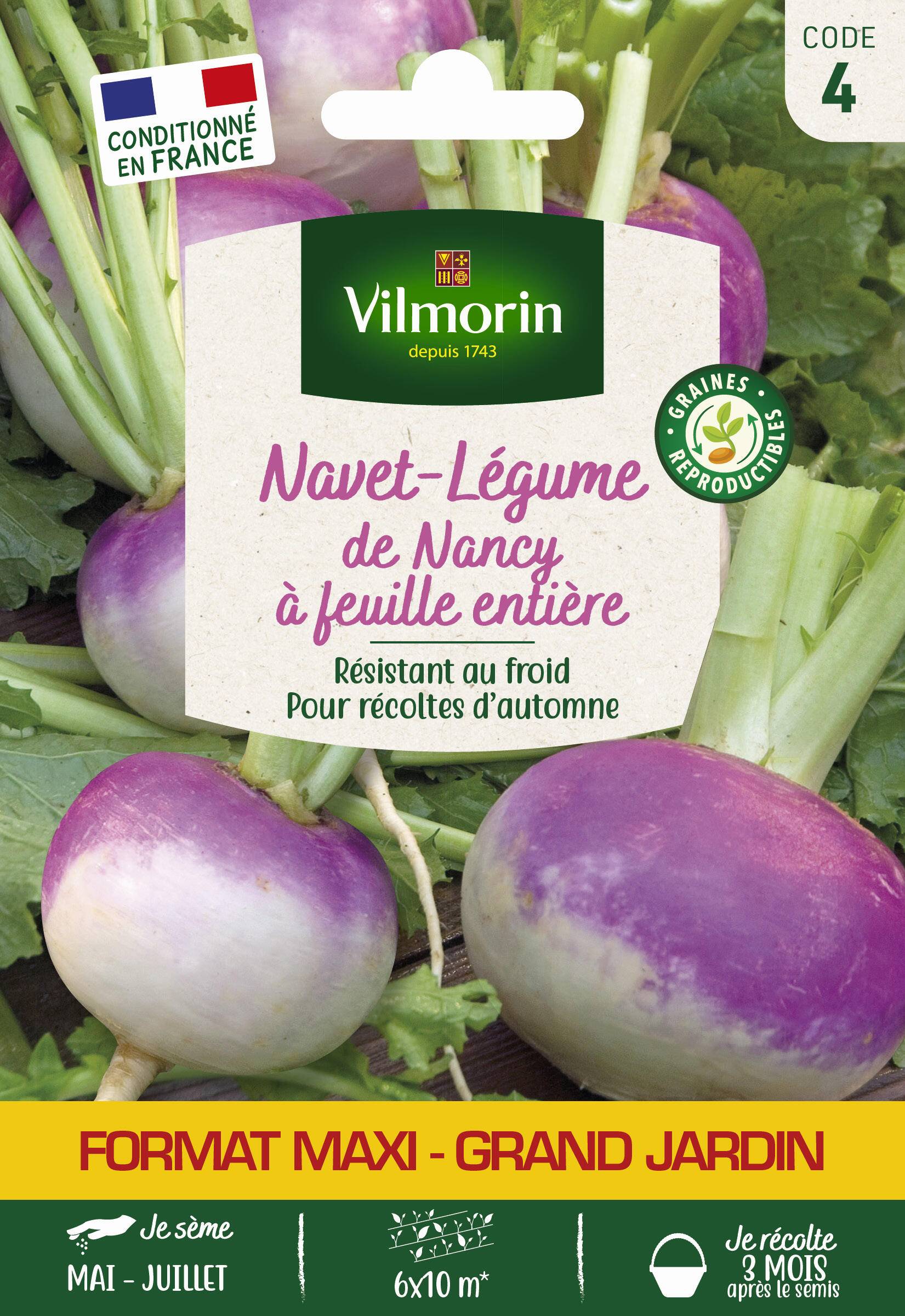 Vilmorin - Navet légume de Nancy a large feuille grand jardin série 4 sachet graines 15 g - Vilmorin - Image 1