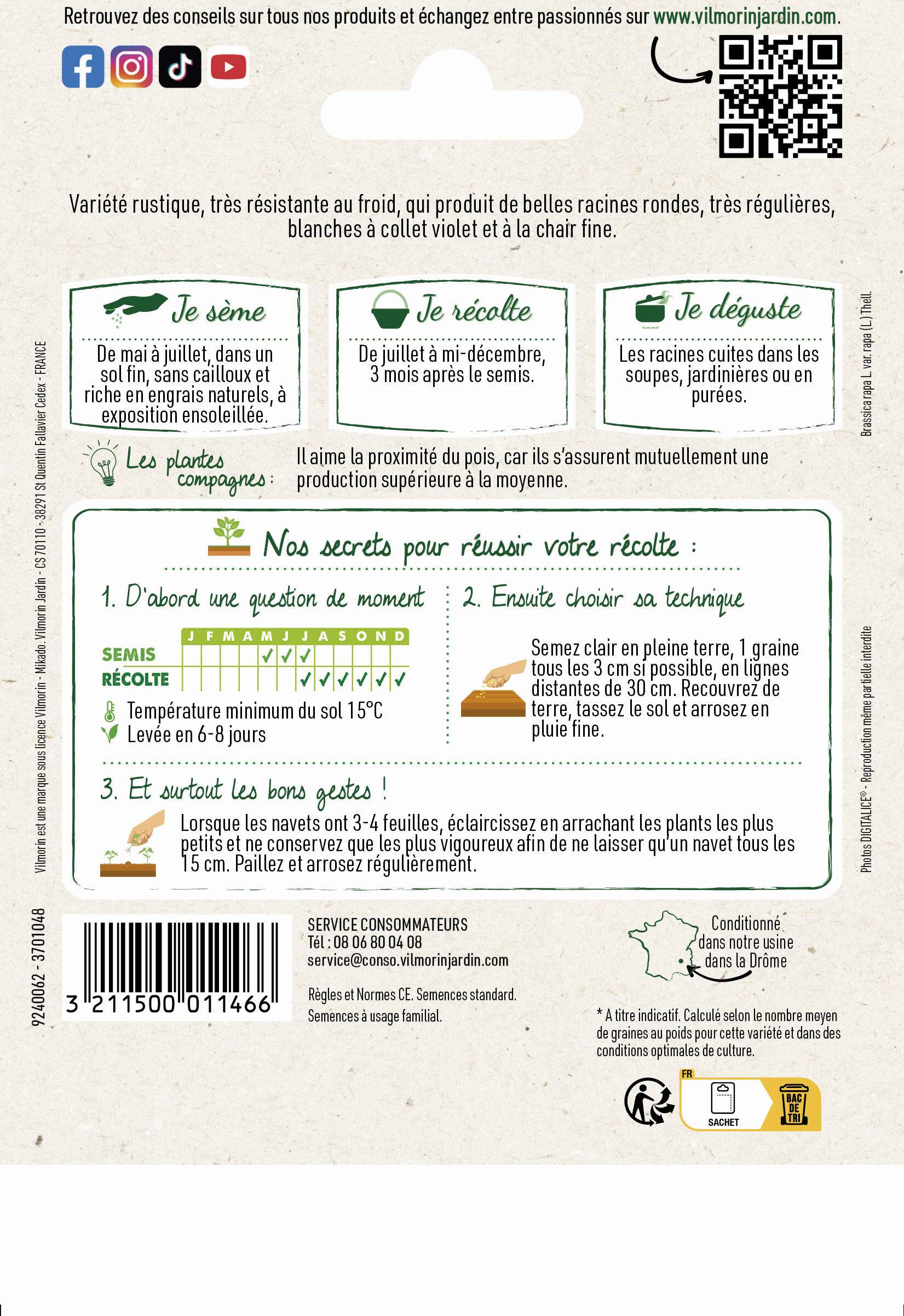 Vilmorin - Navet légume de Nancy a large feuille grand jardin série 4 sachet graines 15 g - Vilmorin - Image 2