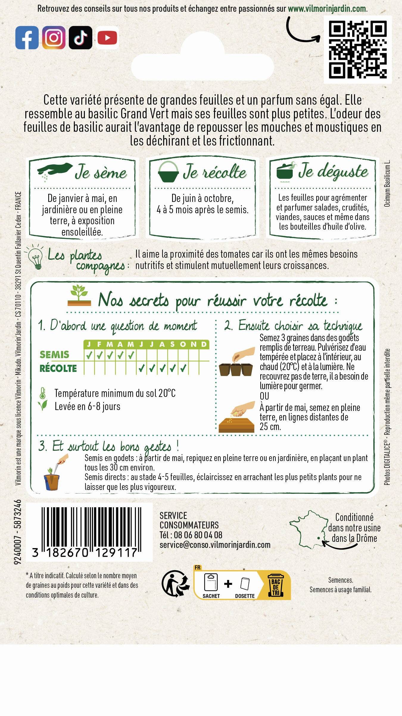 Vilmorin - Basilic marseillais série 2 sachet graines 1 g - Vilmorin - Image 3