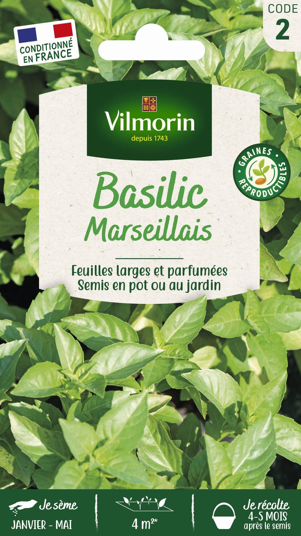 Vilmorin - Basilic marseillais série 2 sachet graines 1 g - Vilmorin - Image 3
