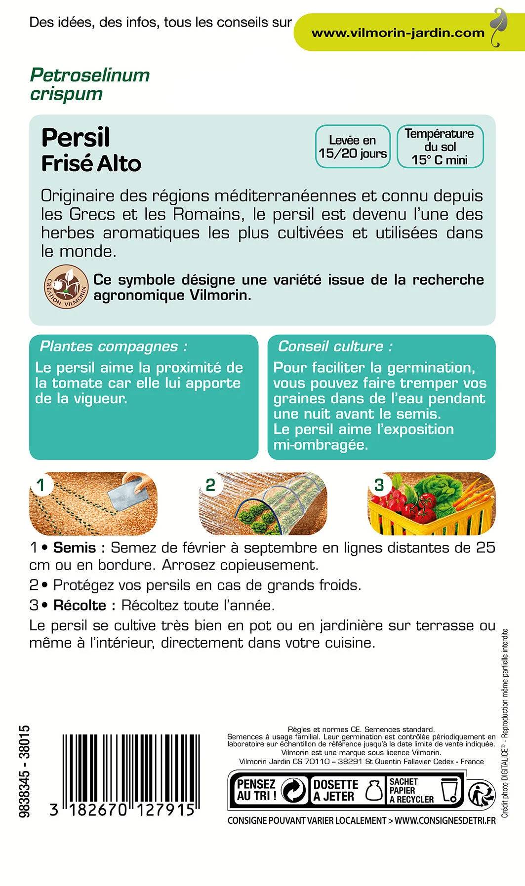 Vilmorin - Persil à feuilles frisé Alto création série 2 sachet graines 5 g - Vilmorin