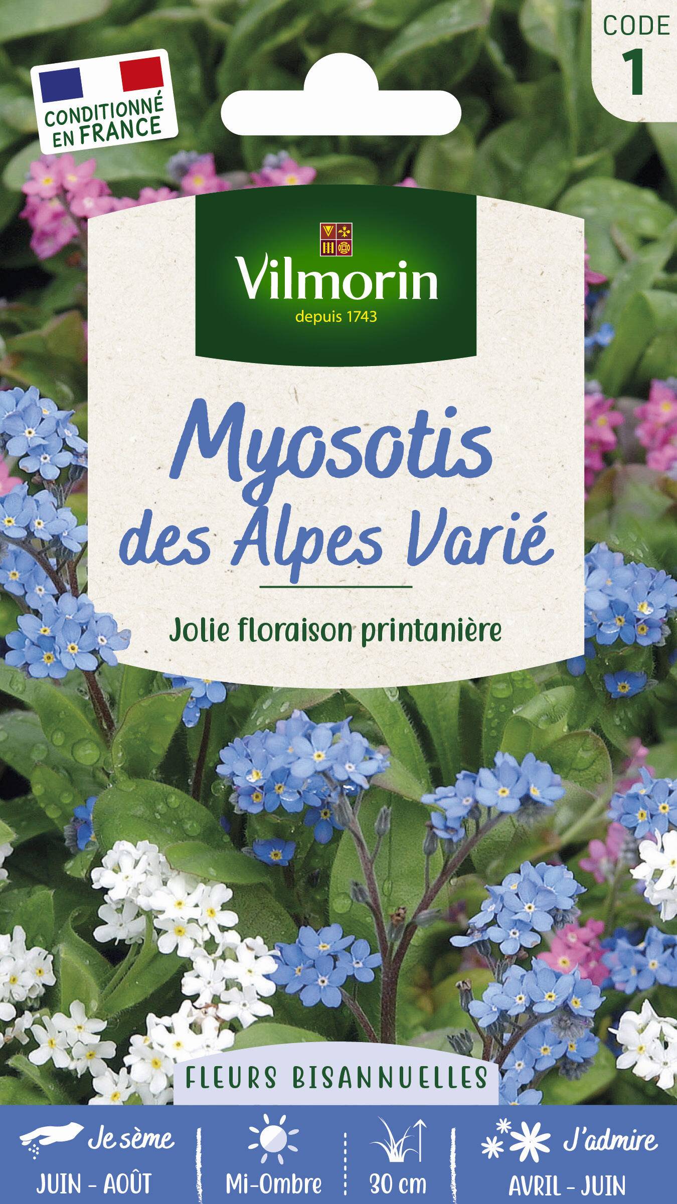 Vilmorin - Myosotis des alpes varie série 1 sachet graines 0,7 g - Vilmorin