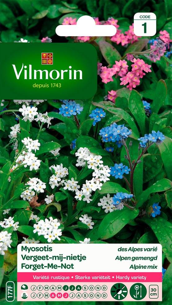 Vilmorin - Myosotis des alpes varie série 1 sachet graines 0,7 g - Vilmorin - Image 2