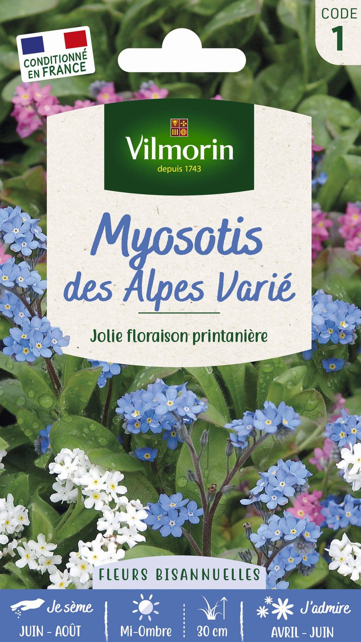 Vilmorin - Myosotis des alpes varie série 1 sachet graines 0,7 g - Vilmorin