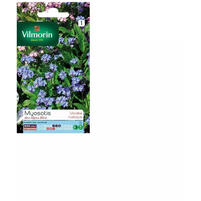 Vilmorin - Myosotis des alpes bleu série 1 sachet graines 0,7 g - Vilmorin - Image 5