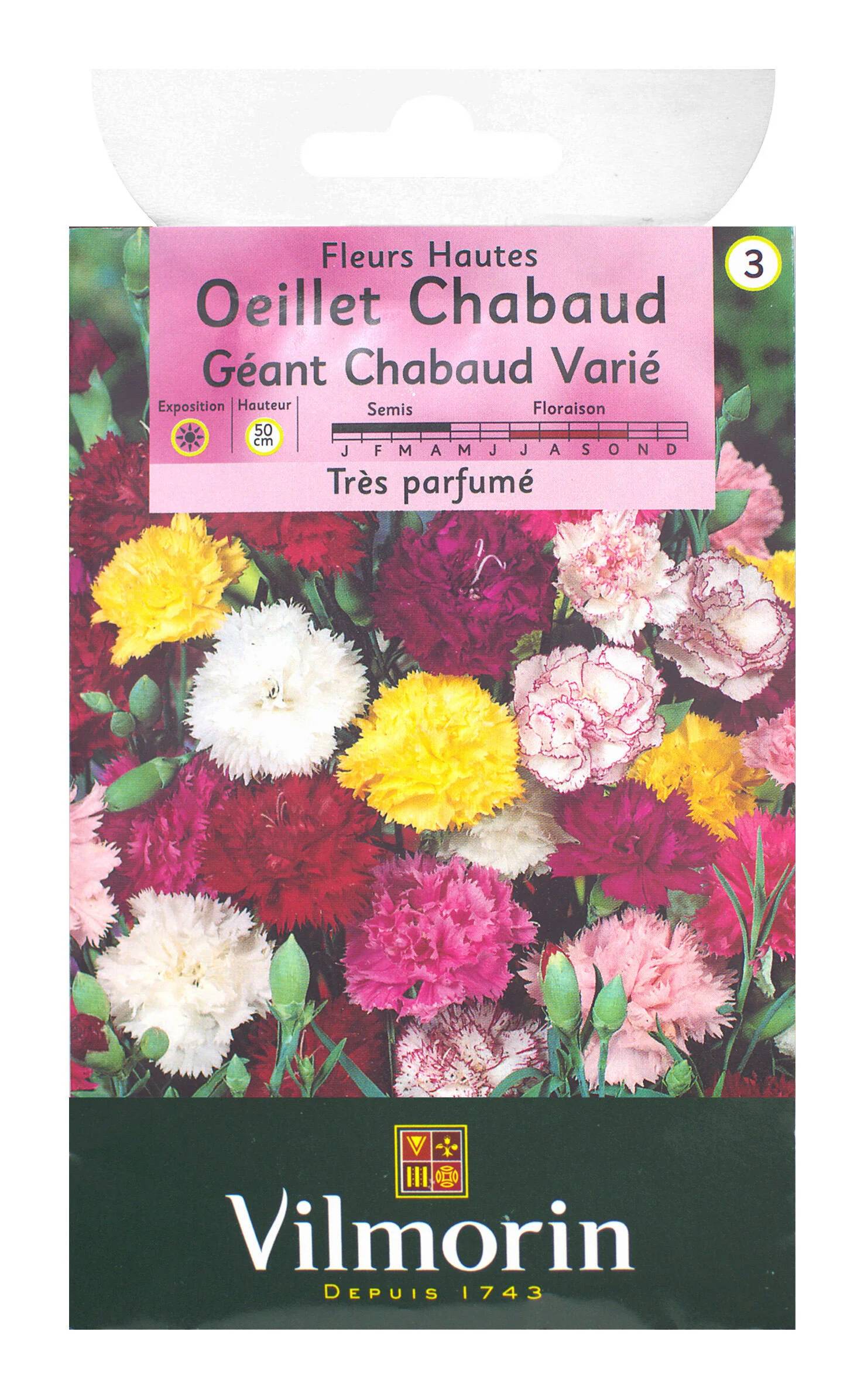 Vilmorin - Oeillet géant Chabaud varie série 3 sachet graines 0,8 g - Vilmorin - Image 2