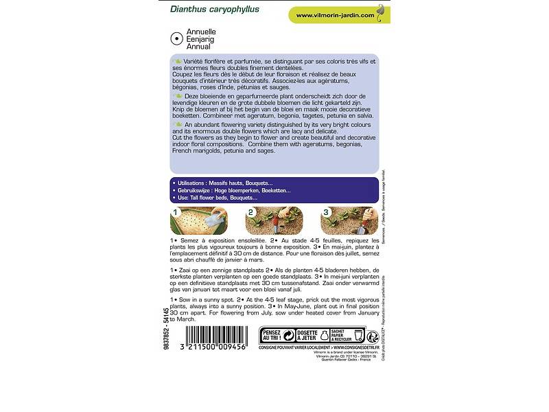 Vilmorin - Oeillet géant Chabaud varie série 3 sachet graines 0,8 g - Vilmorin - Image 6