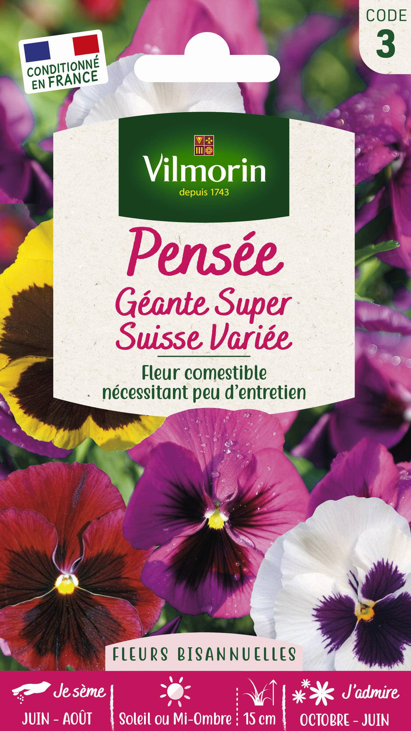 Vilmorin - Graines de pensée super géante - VILMORIN - Image 1