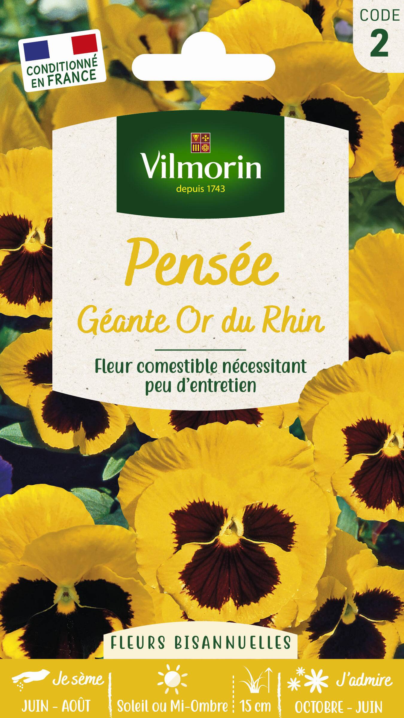 Vilmorin - Pensée géante or du Rhin jaune macule série 2 sachet graines 0,4 g - Vilmorin