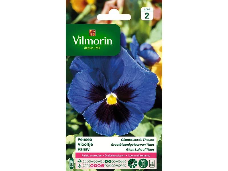 Vilmorin - Pensée géante lac de Thoune bleu série 2 sachet graines 0,4 g - Vilmorin - Image 2